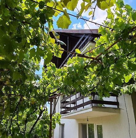Апартаменти Cazare Vila Maria Куртя-де-Арджеш Екстер'єр фото