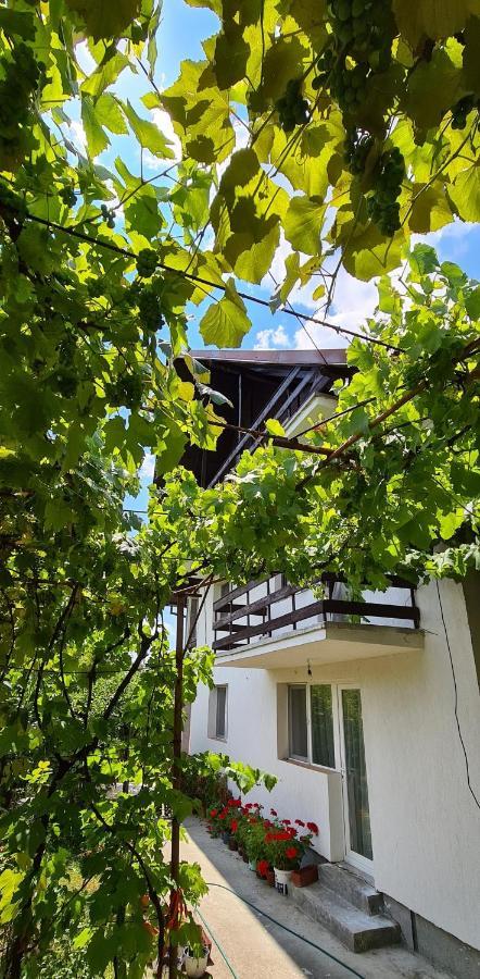 Апартаменти Cazare Vila Maria Куртя-де-Арджеш Екстер'єр фото