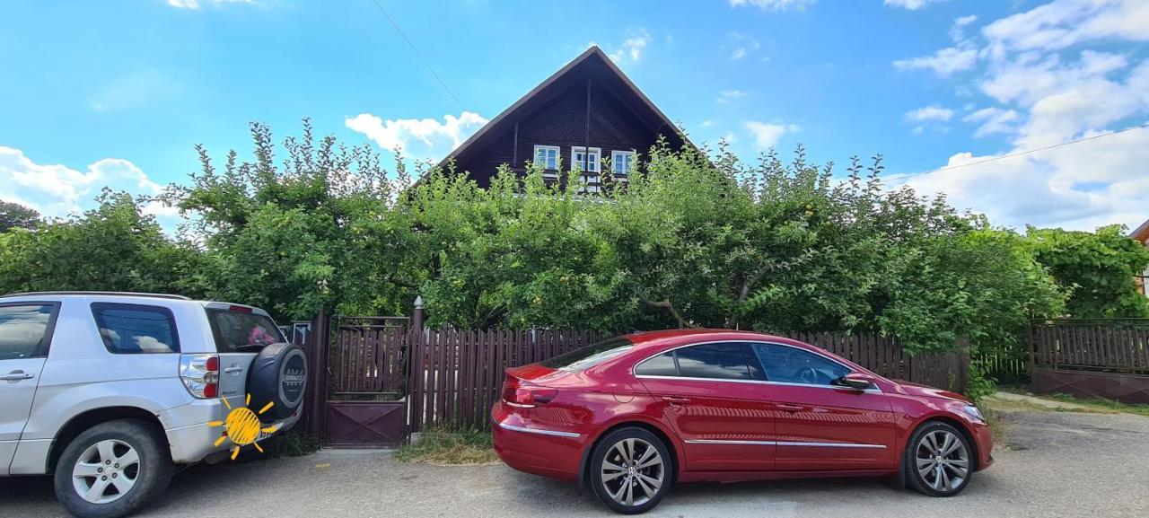Апартаменти Cazare Vila Maria Куртя-де-Арджеш Екстер'єр фото