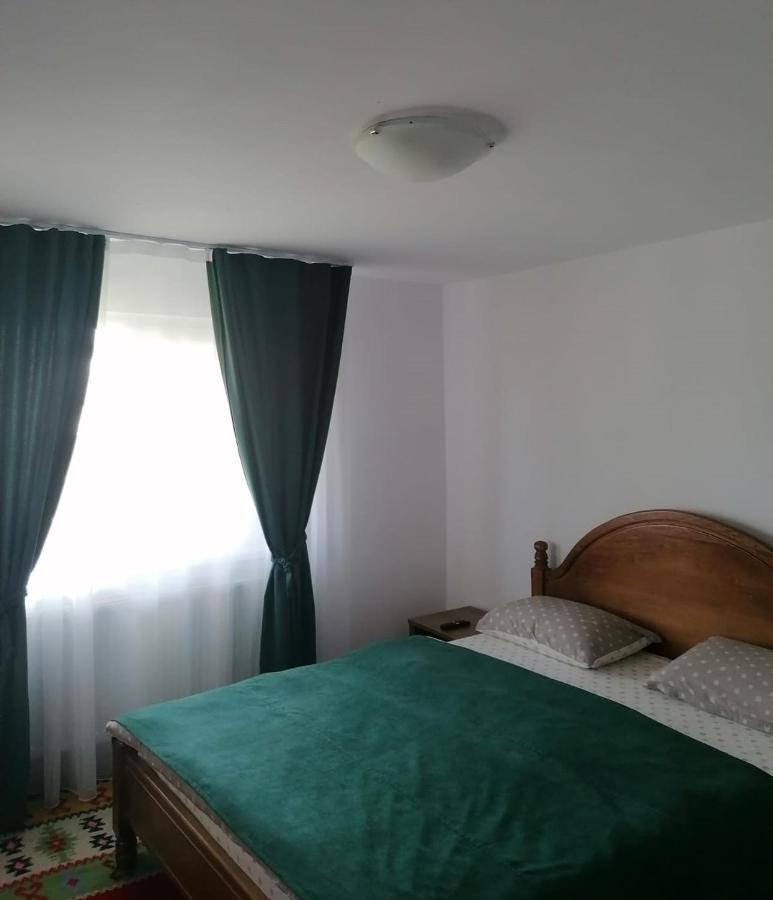 Апартаменти Cazare Vila Maria Куртя-де-Арджеш Екстер'єр фото